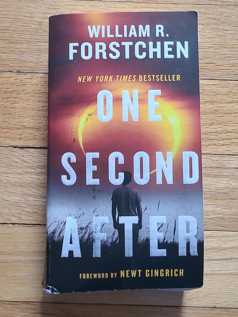 One Second After by William R. Forstchen Paperback Book